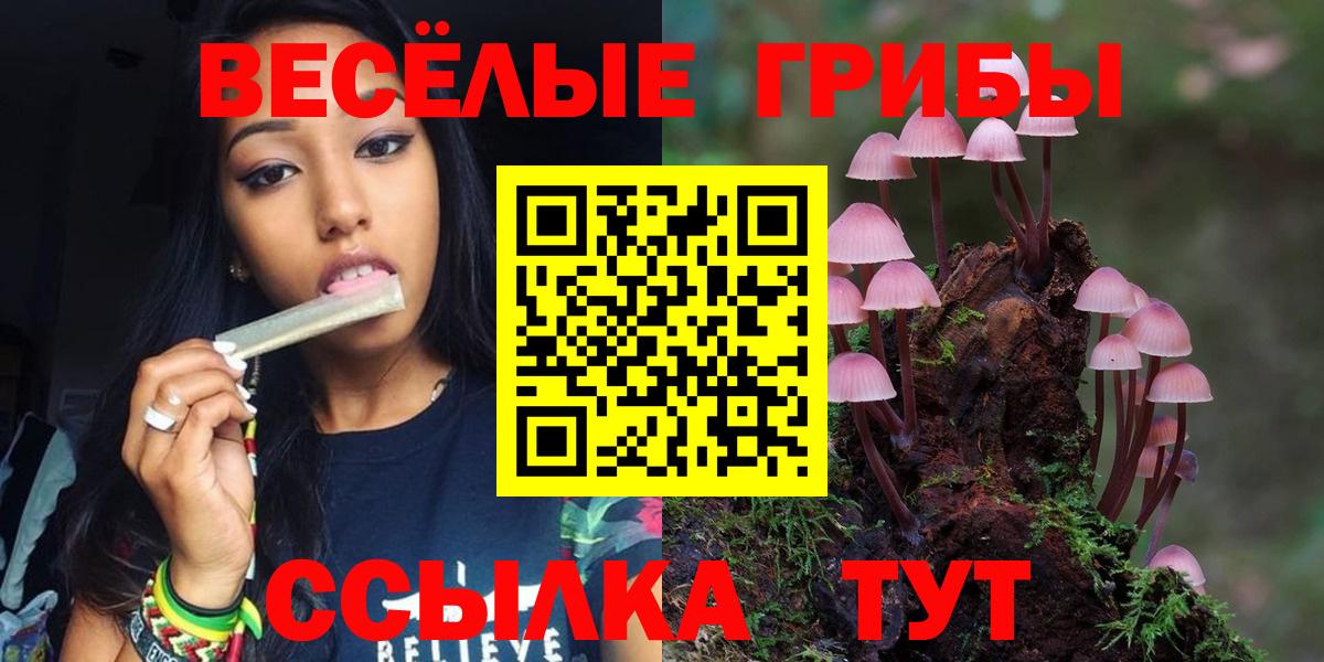 Ступино  Галлюциногенные грибы Magic Shrooms  Вход с VPN 