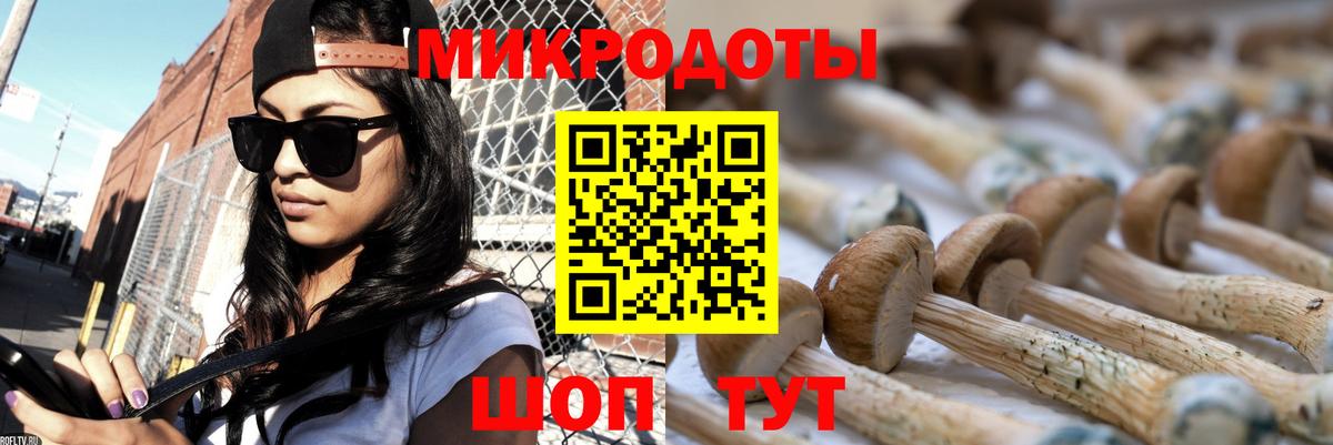 Псилоцибиновые грибы Psilocybe Ступино